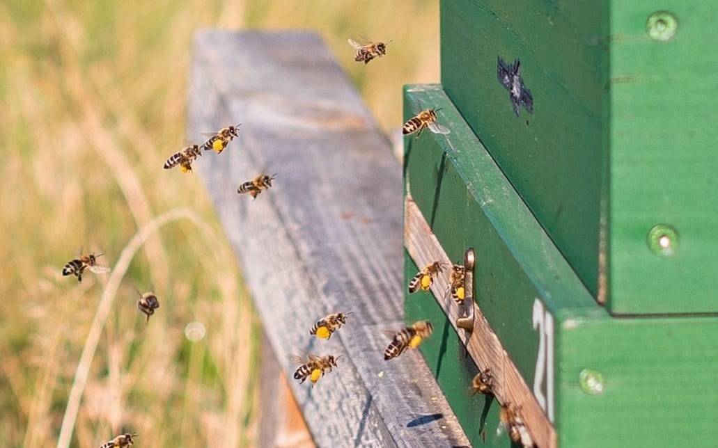 Quelle: Marion Domke