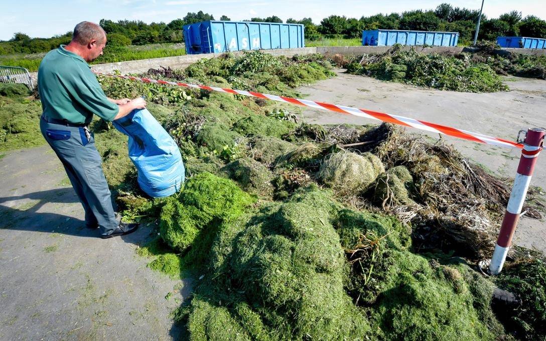 Grünabfall auf dem Recyclinghof im Hammer Westen