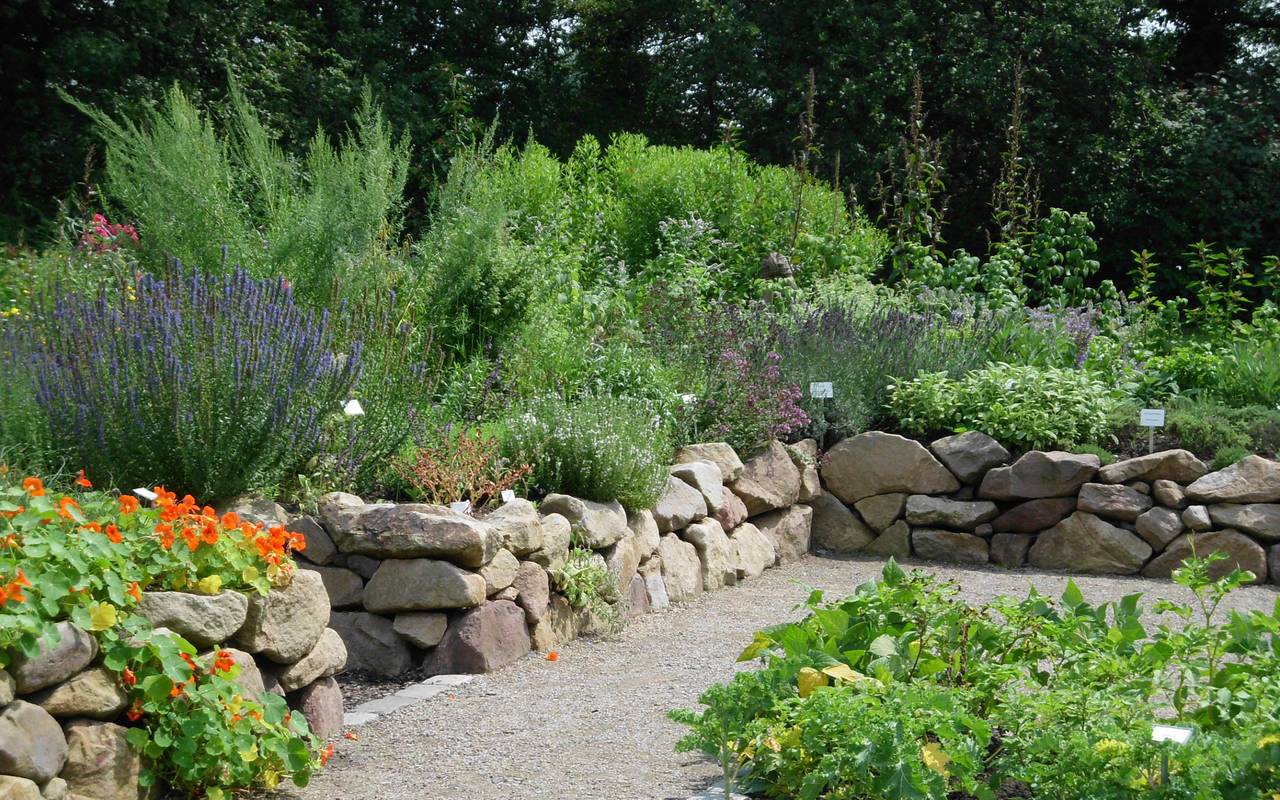 Kräutergarten im Maximilianpark