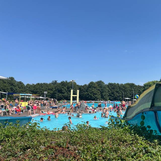 Das Freibad Süd bei sonnigem Wetter und blauem Himmel.