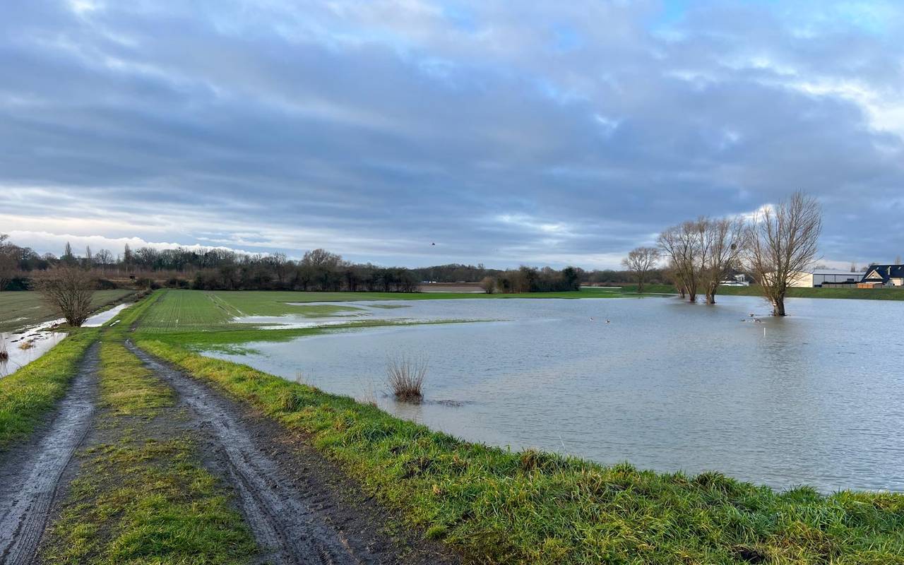 Wasser am Ahsedeich ist wieder gestiegen