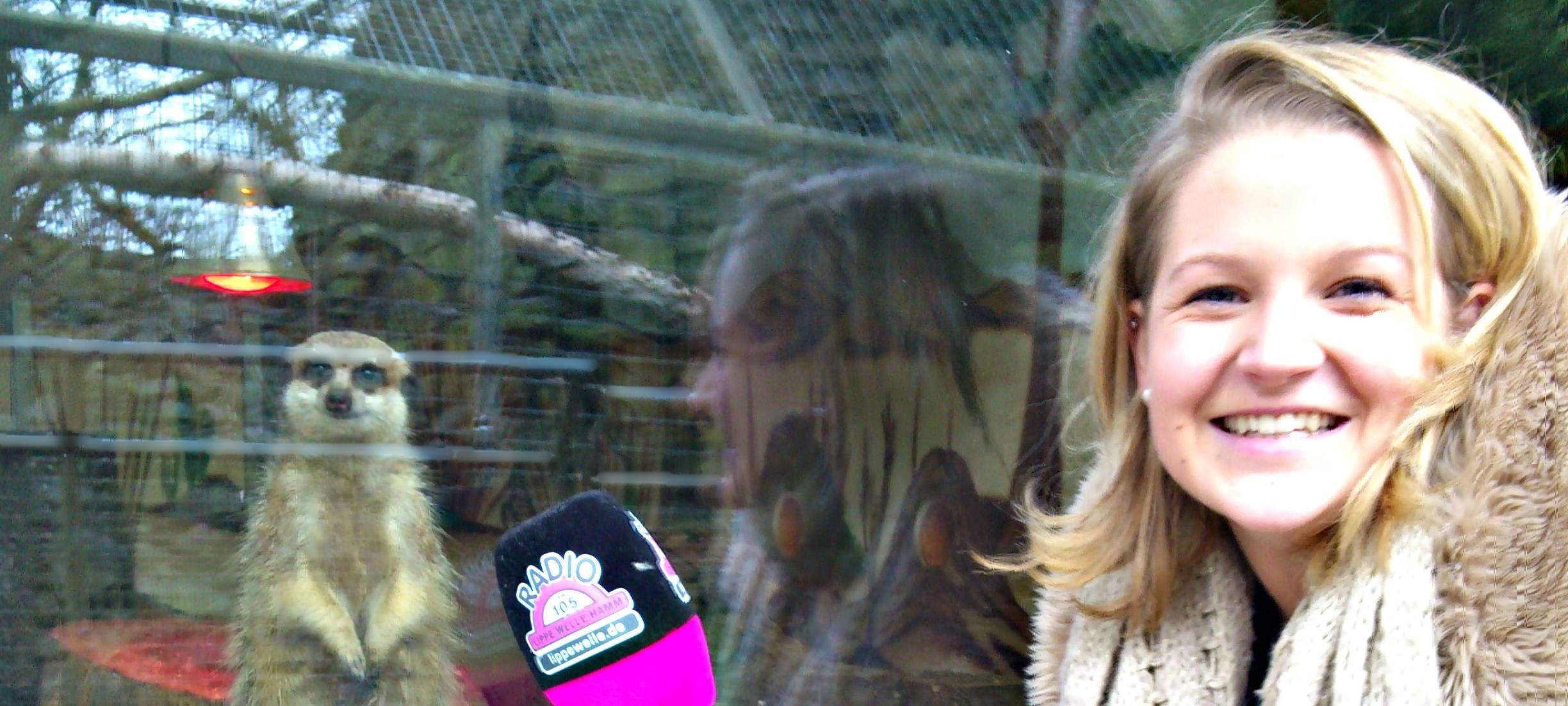 Lena Heße hat ein Herz für Tiere - deswegen durfte auch Erdmännchen Hugo damals vor das Mikrofon.