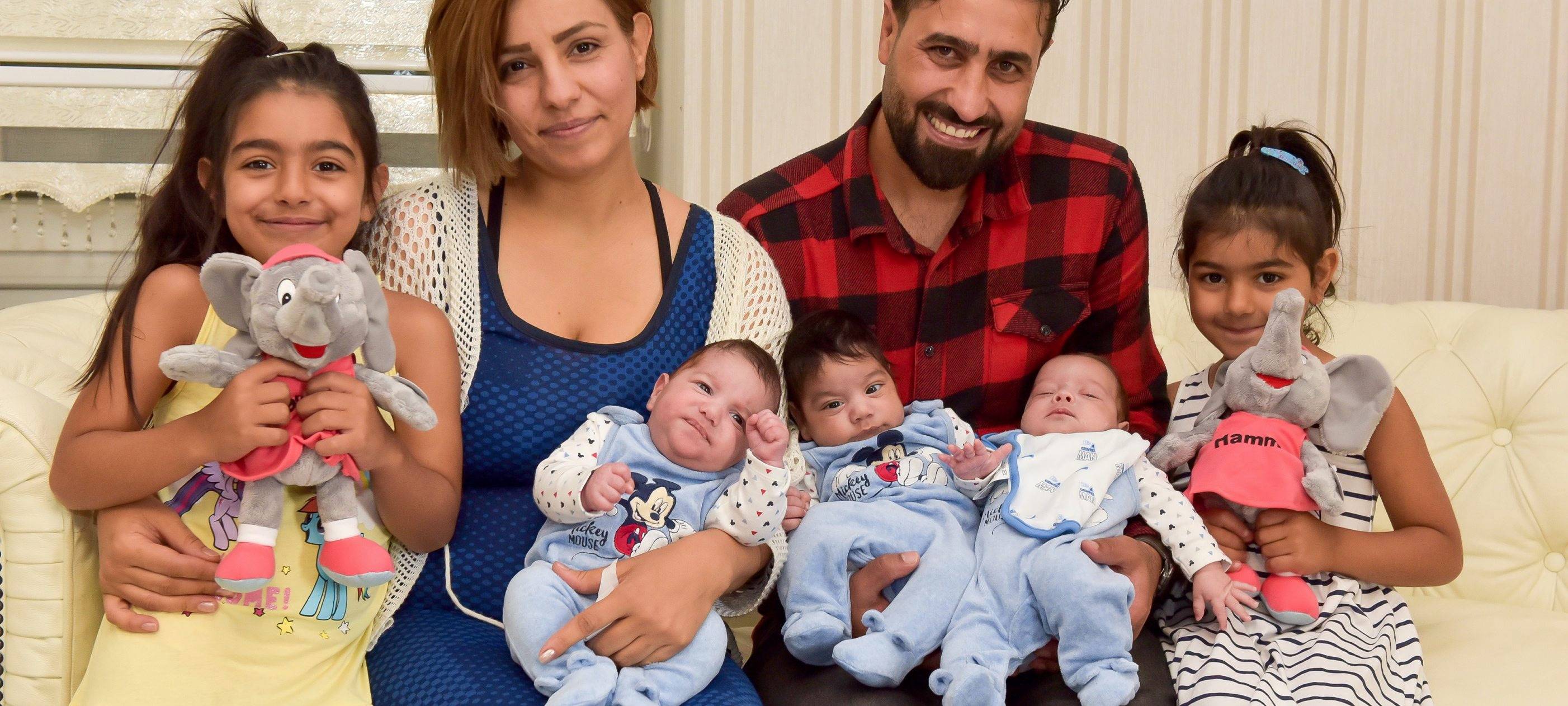 Die Hammer Drillingsfamilie