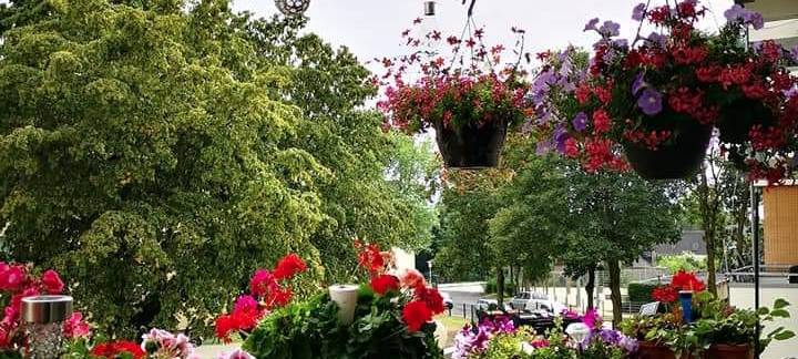 Raus ja - aber nicht so weit weg