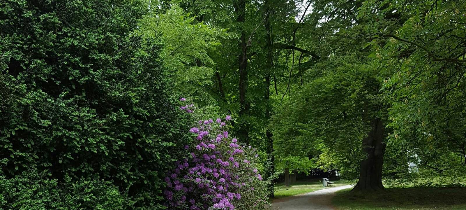 Grüne wollen mehr Natur in der Stadt