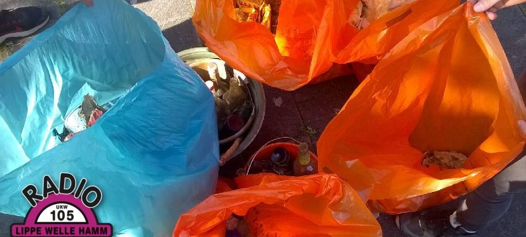 Fridays for Future sammelt Müll