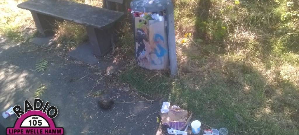 Fridays for Future sammelt Müll