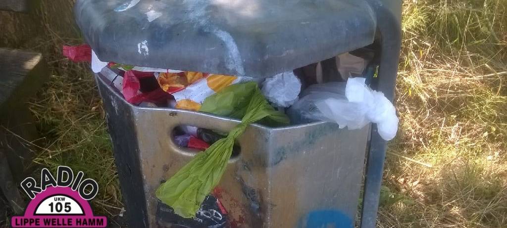 Fridays for Future sammelt Müll