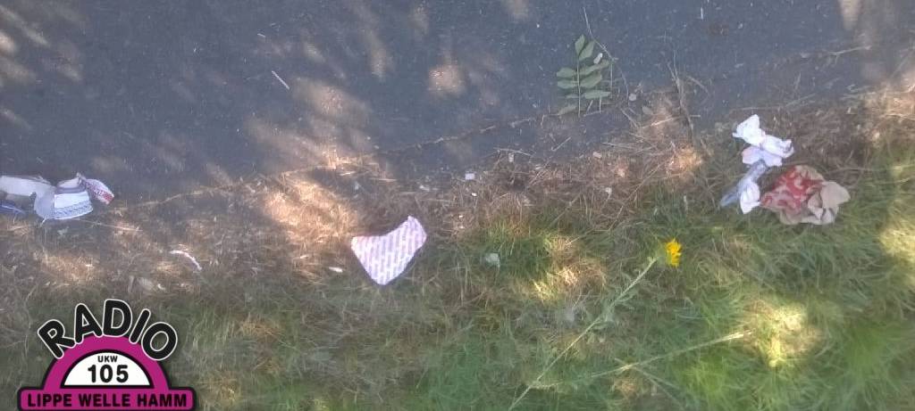 Fridays for Future sammelt Müll