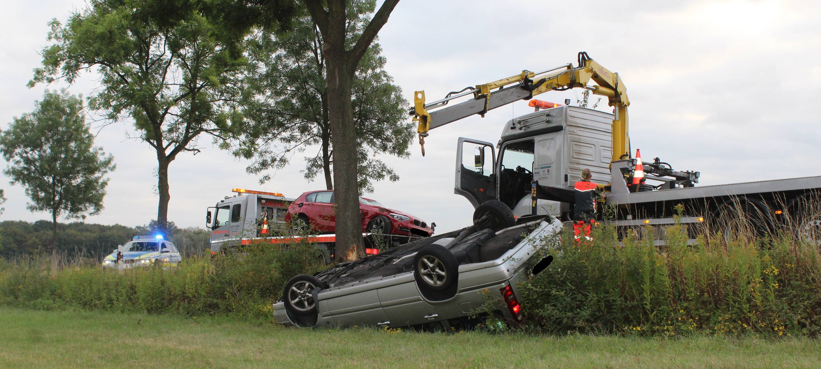 Spektakulärer Wildunfall