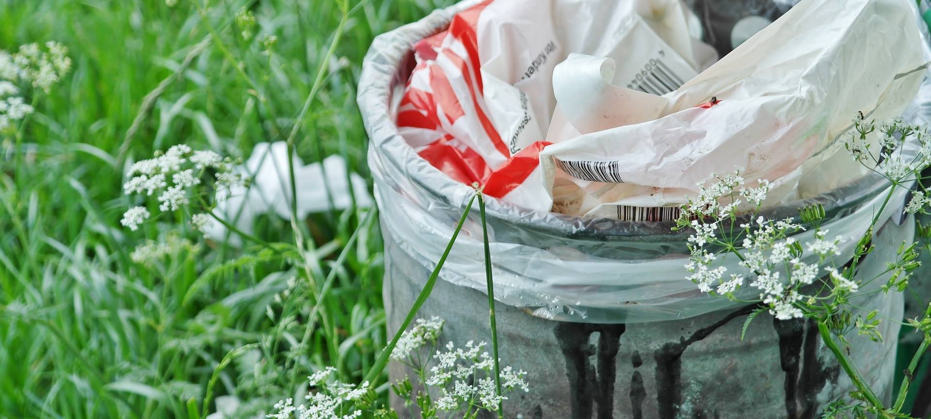 Plastikmüll per Gesetz reduzieren