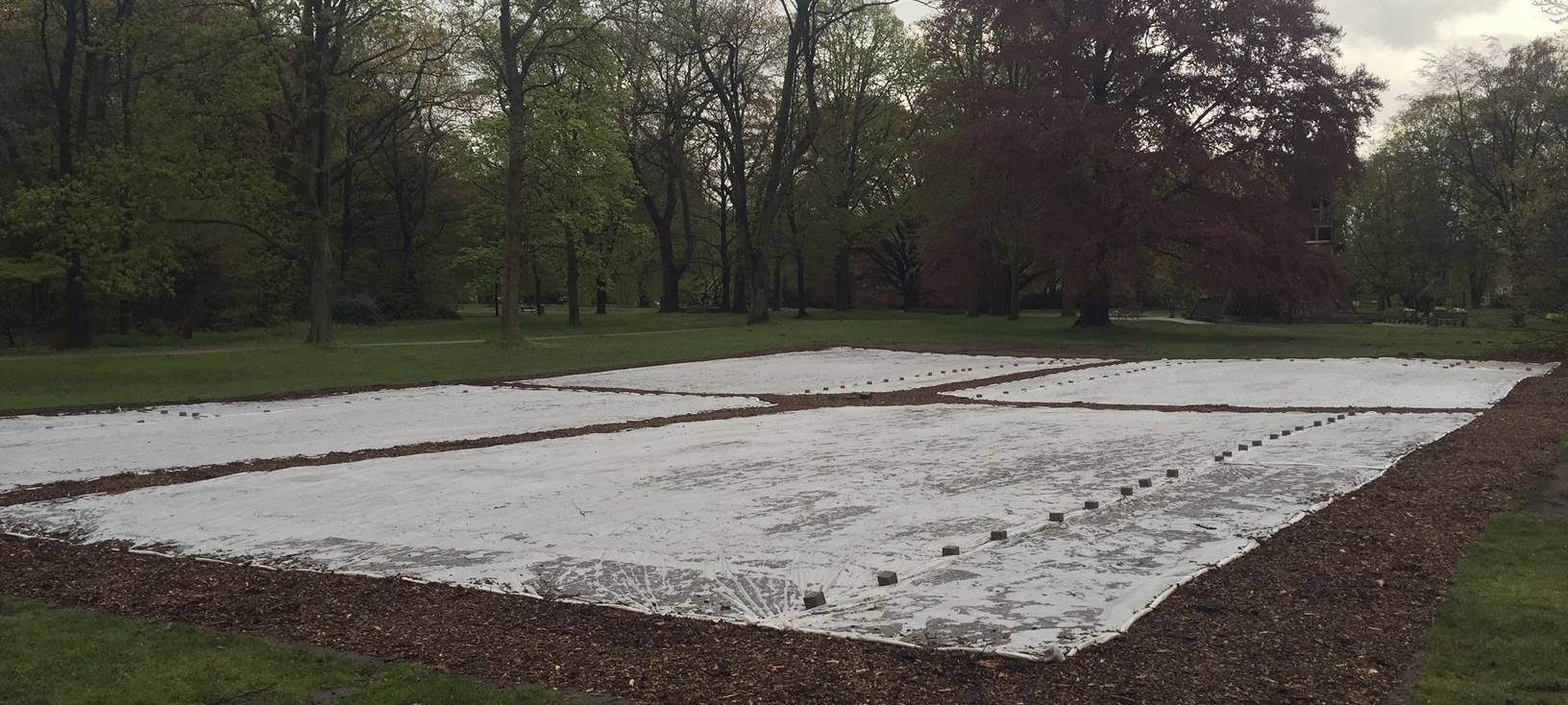 Blühgarten im Kurpark