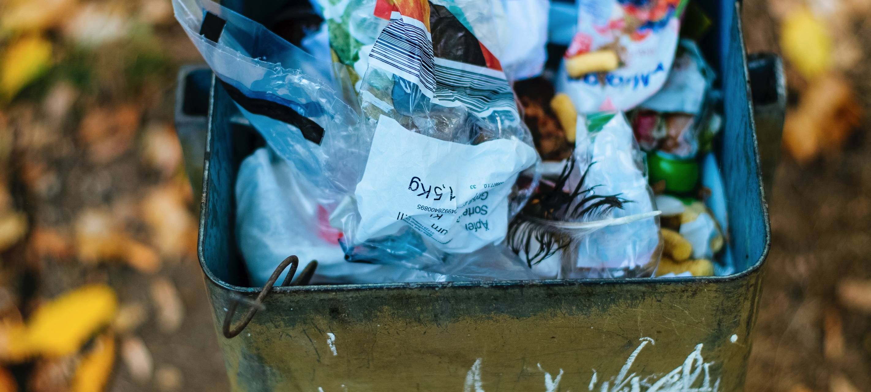 "Go and bash the trash"