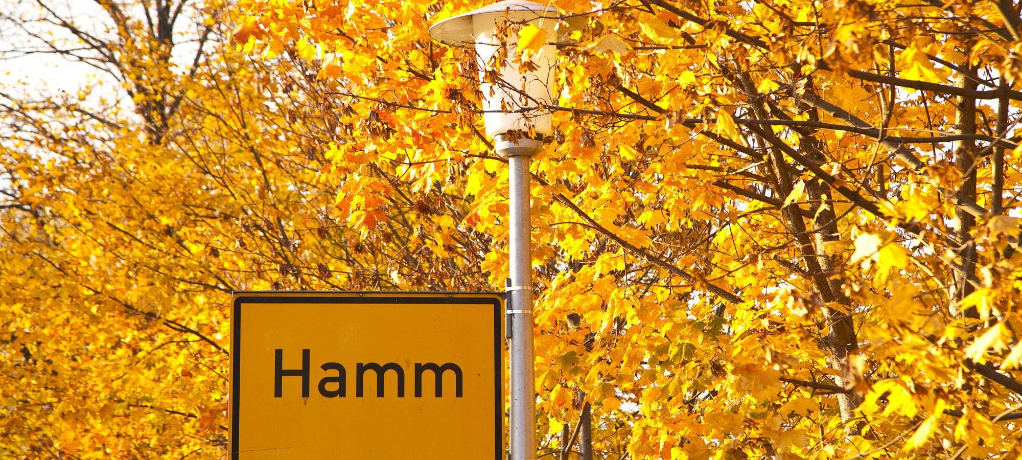Neuer Stadtplan für Hamm