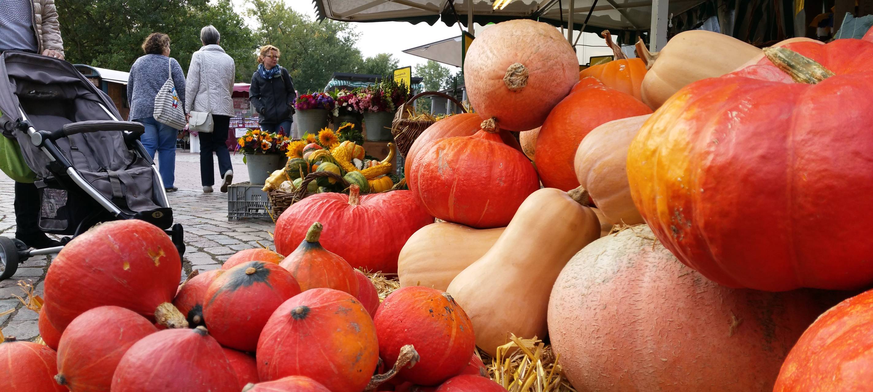Herbstmarkt im Maxipark Hamm
