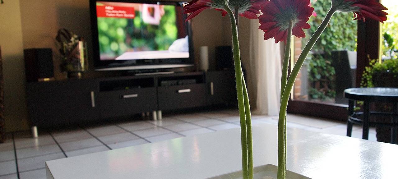 Wohnungslosenzahl um 35 Prozent gestiegen