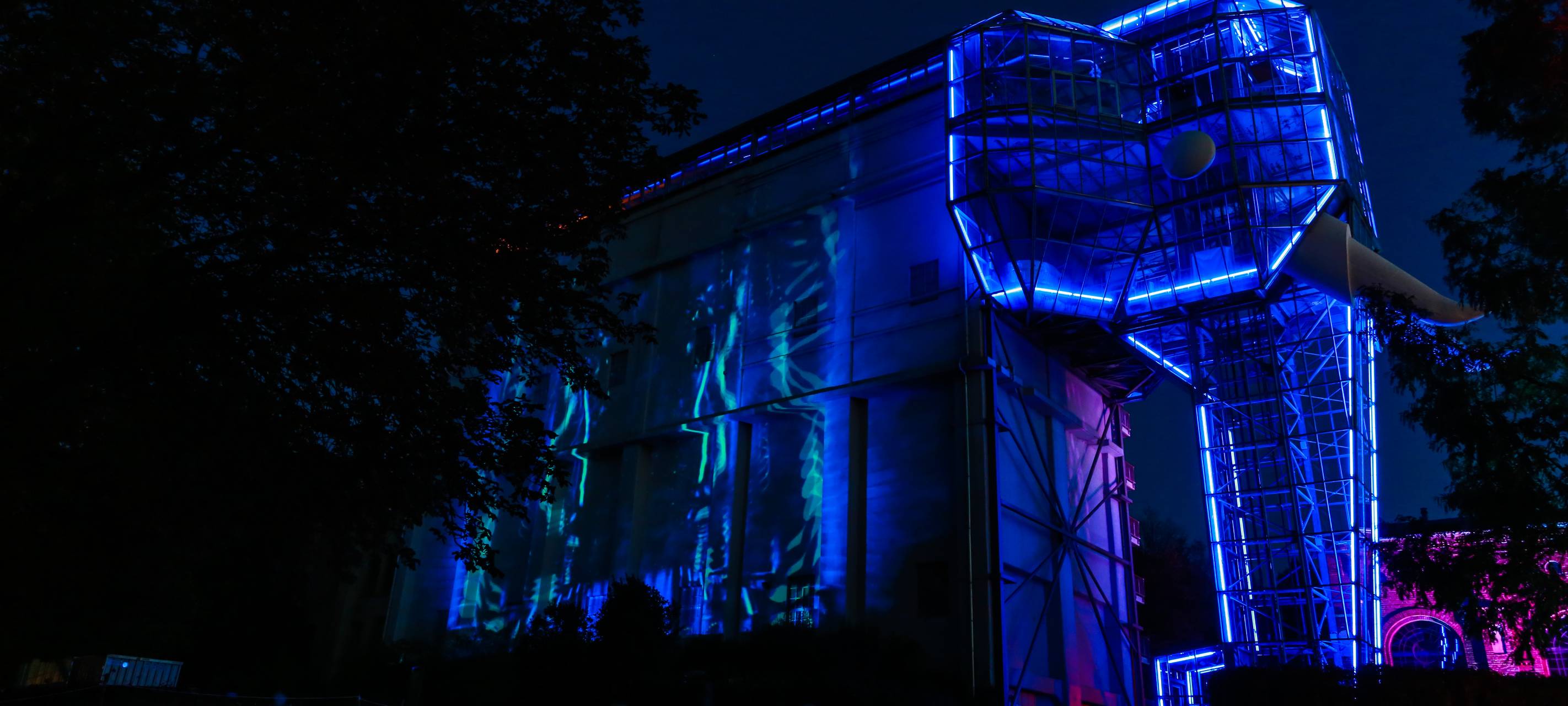 Herbstleuchten sorgt für glänzende Augen