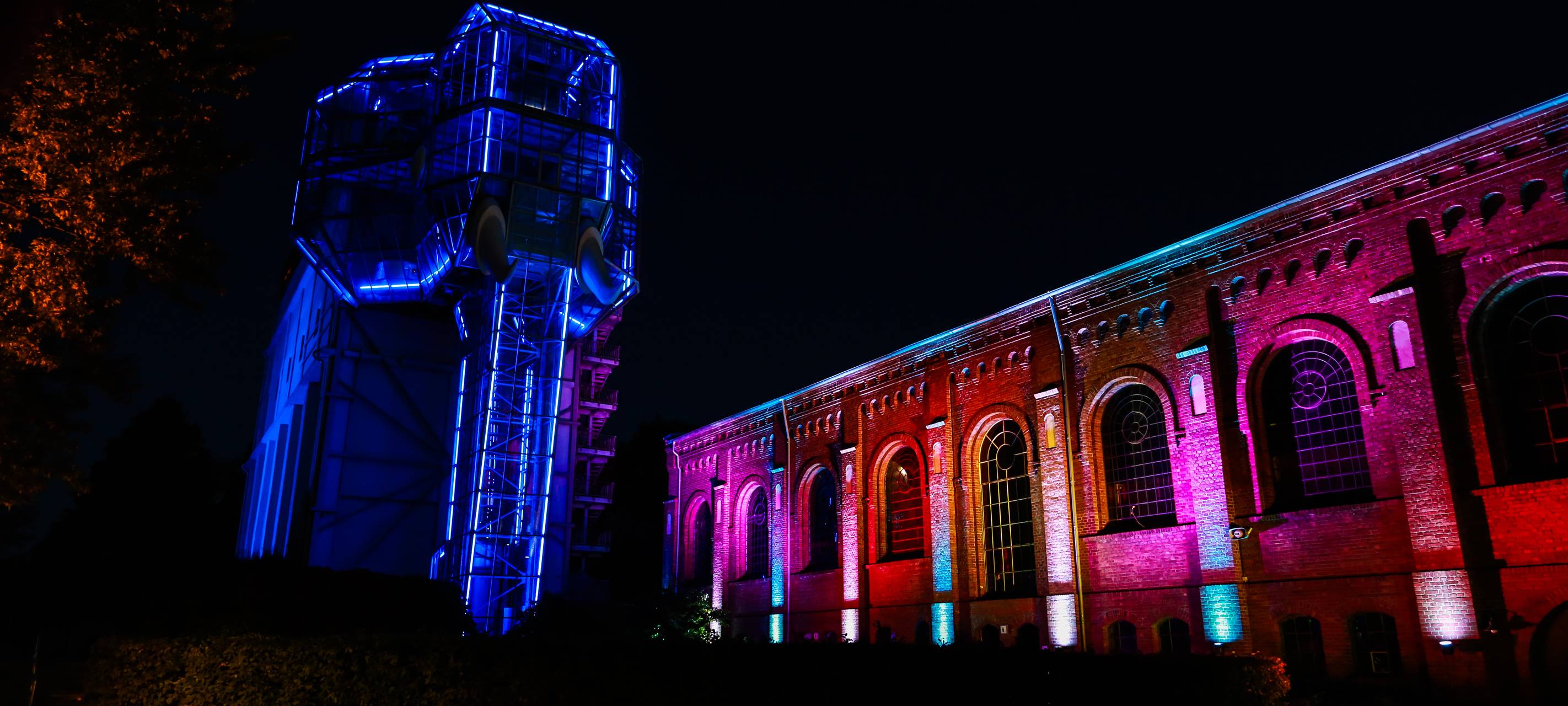 Herbstleuchten sorgt für glänzende Augen