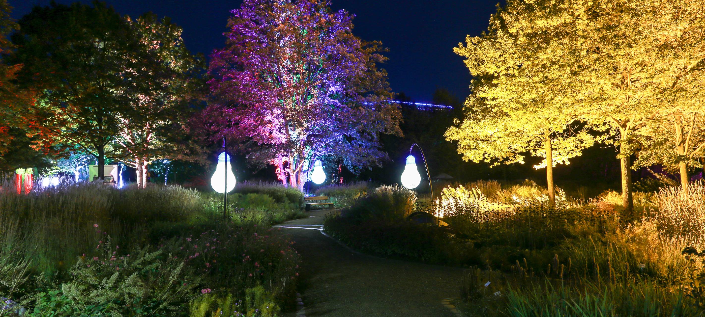 Herbstleuchten sorgt für glänzende Augen