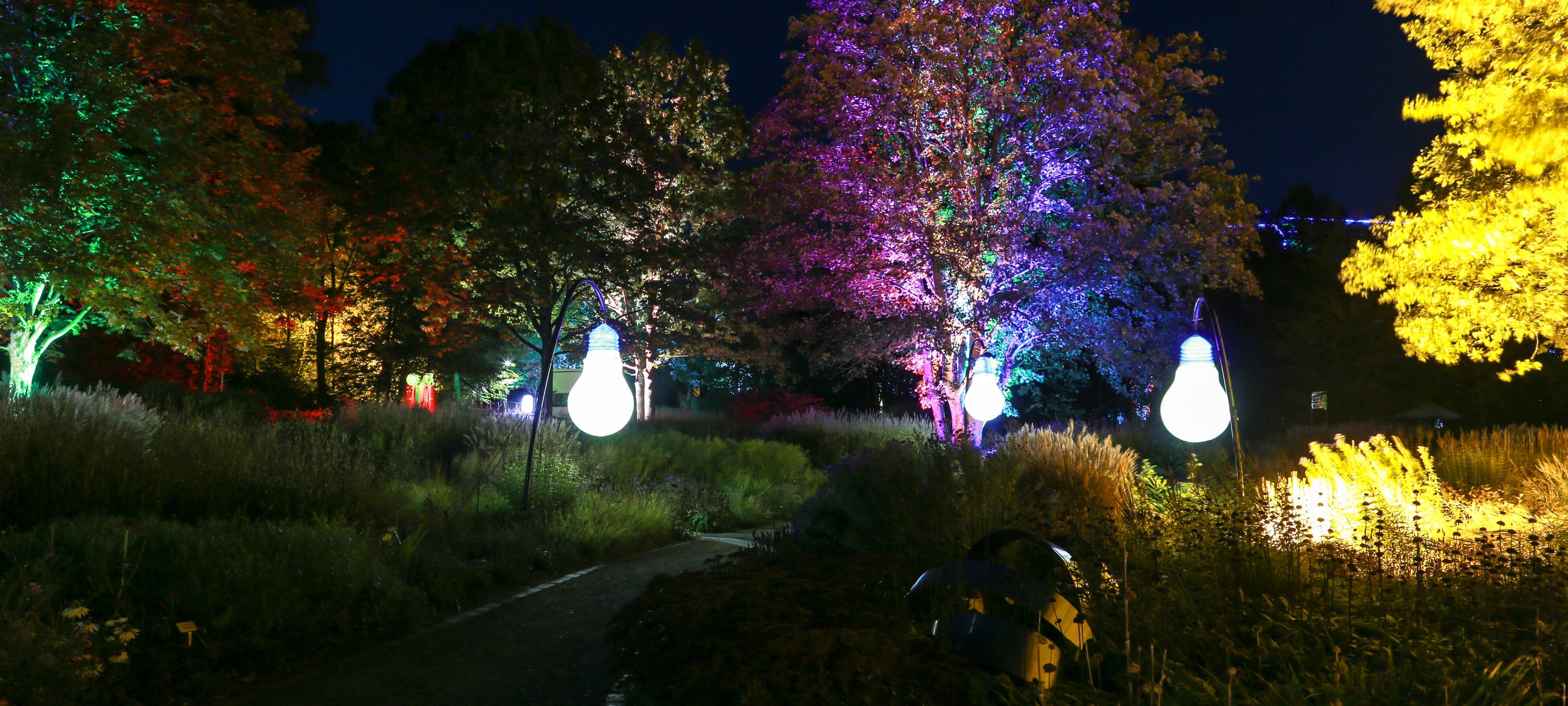 Herbstleuchten sorgt für glänzende Augen