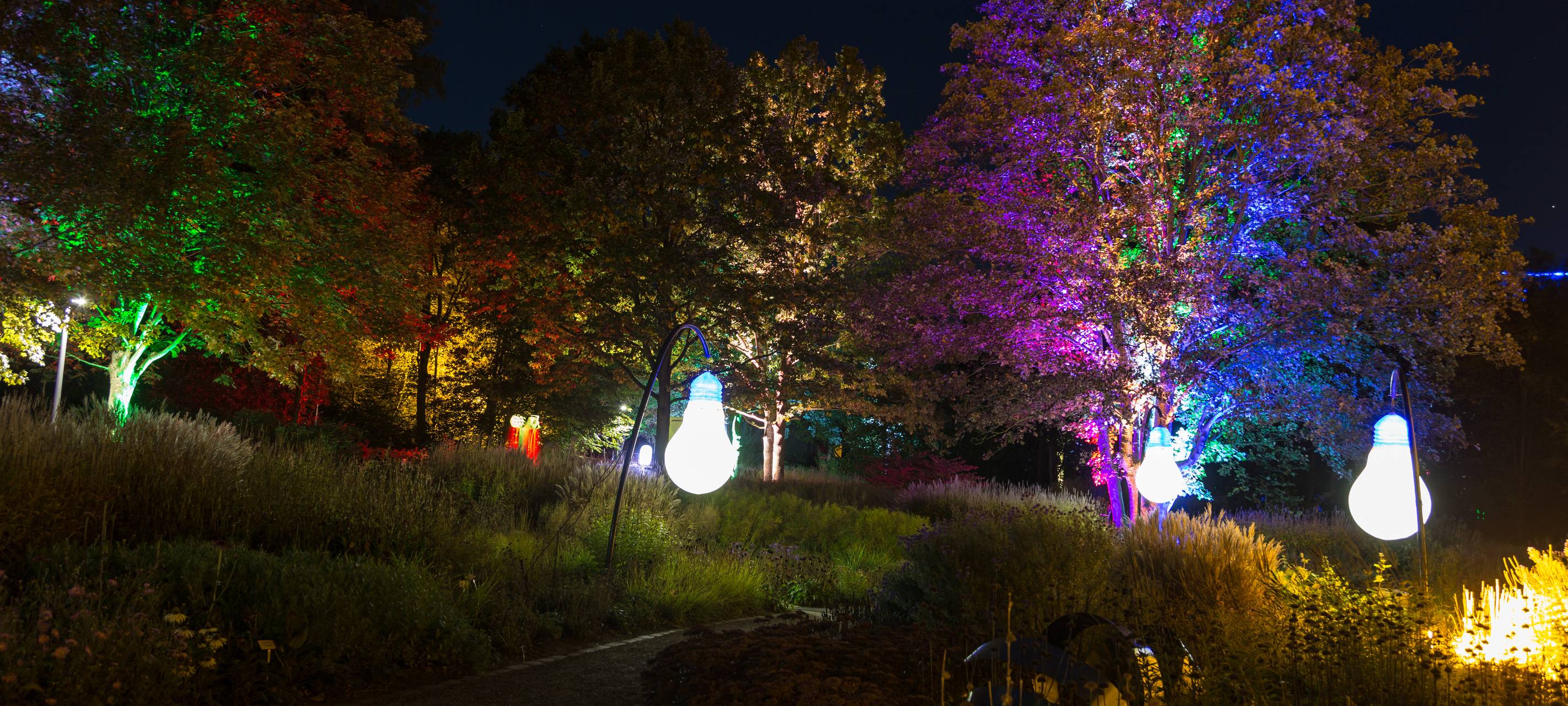 Herbstleuchten sorgt für glänzende Augen