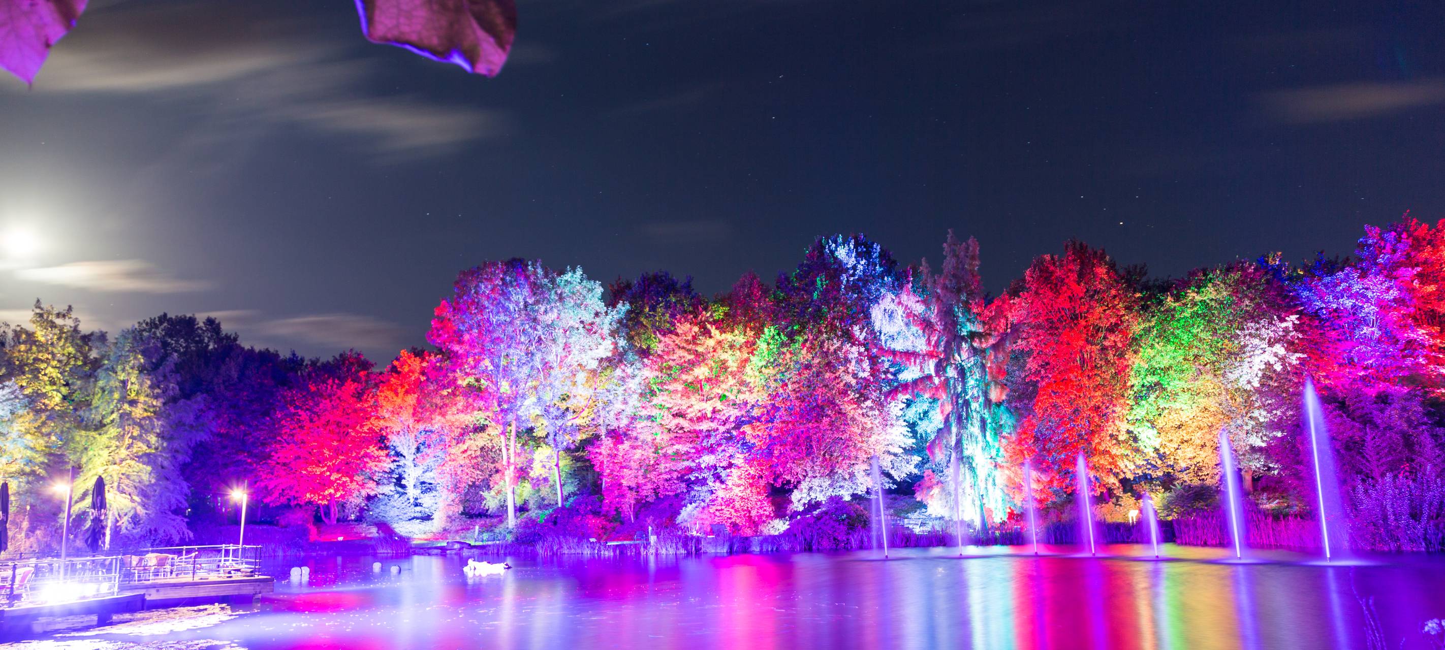 Herbstleuchten sorgt für glänzende Augen