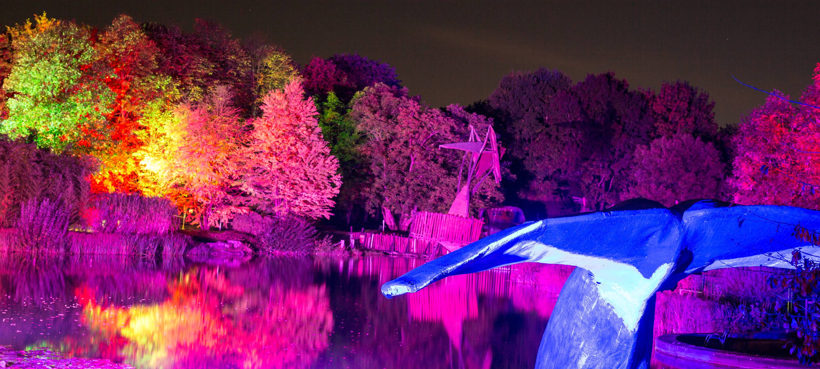 Herbstleuchten sorgt für glänzende Augen