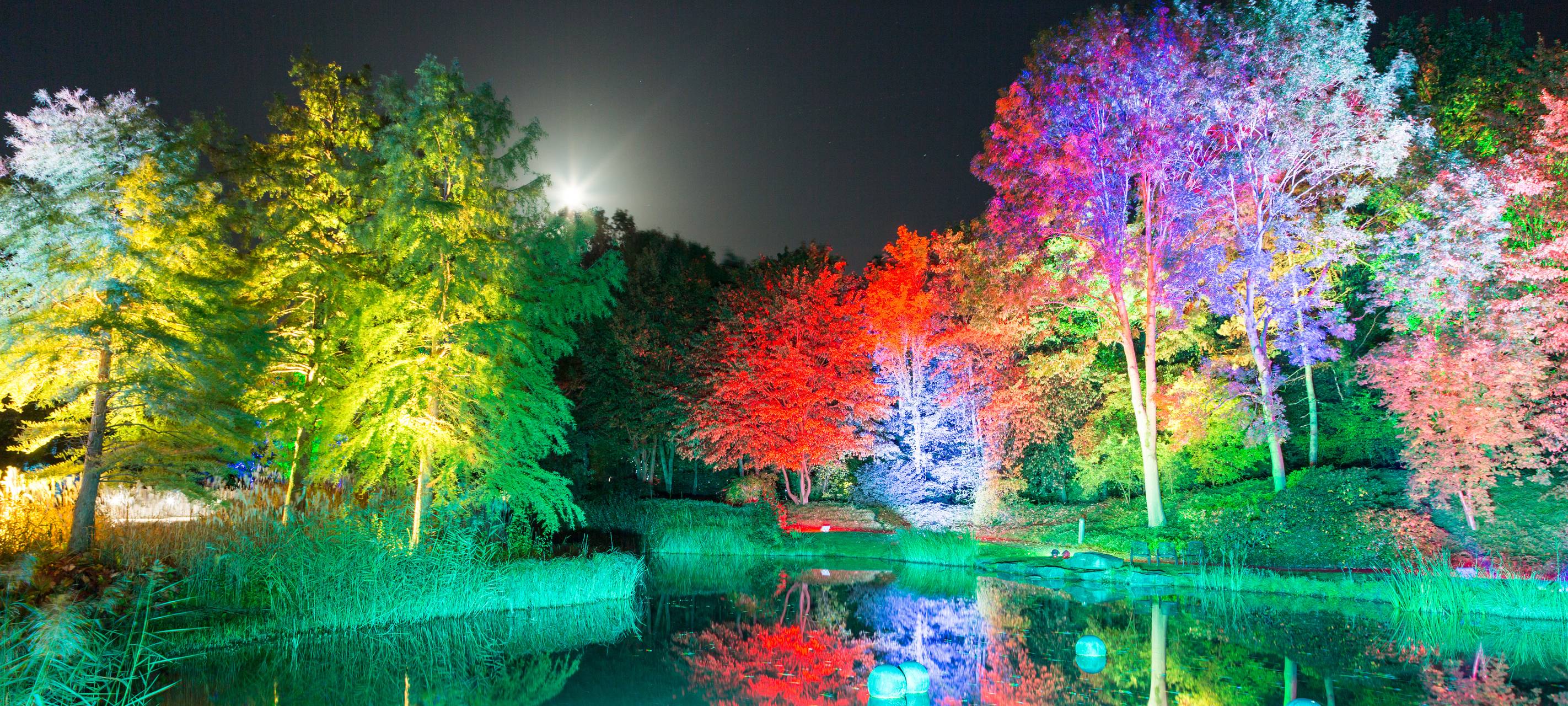 Herbstleuchten sorgt für glänzende Augen
