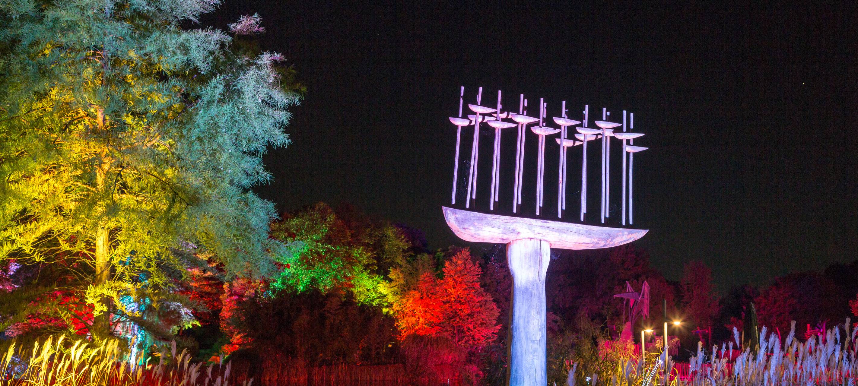 Herbstleuchten sorgt für glänzende Augen