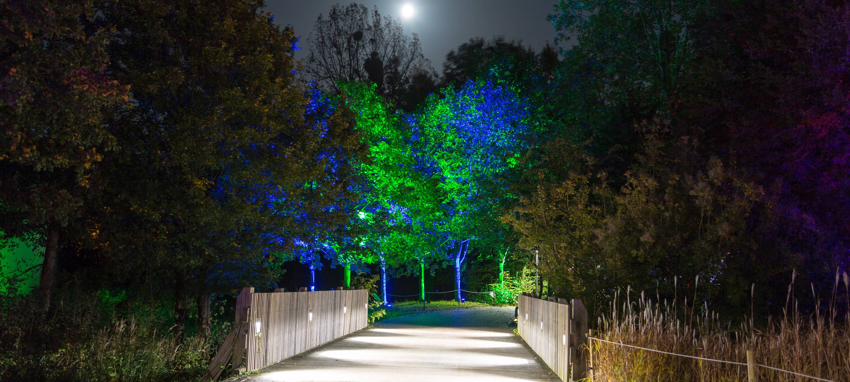 Herbstleuchten sorgt für glänzende Augen