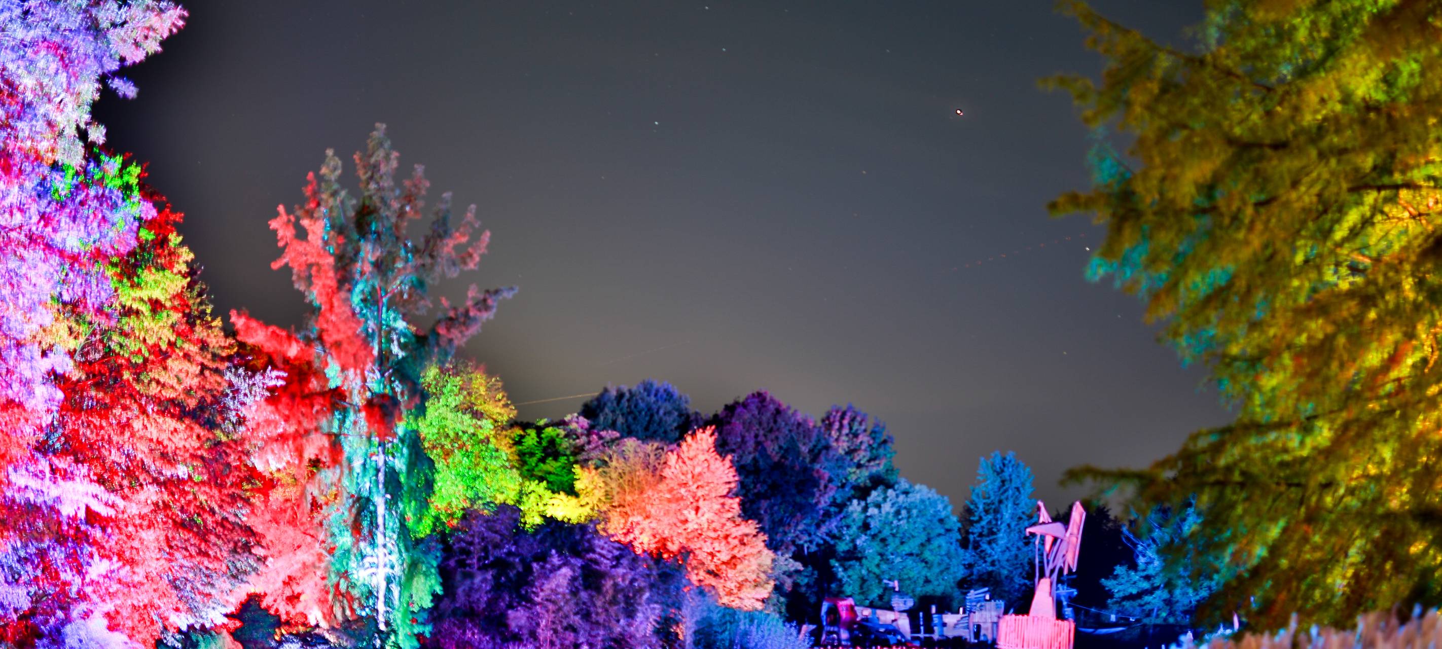 Herbstleuchten sorgt für glänzende Augen