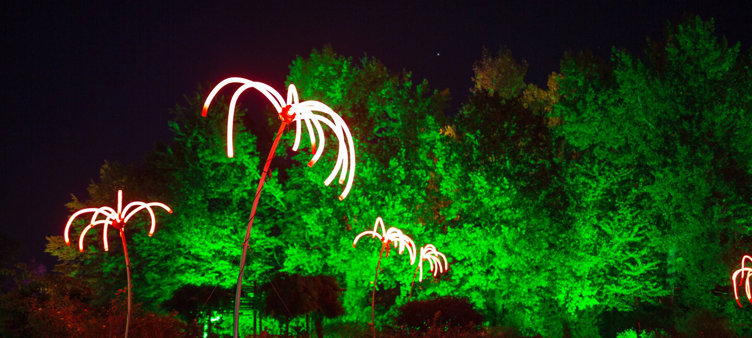 Herbstleuchten sorgt für glänzende Augen