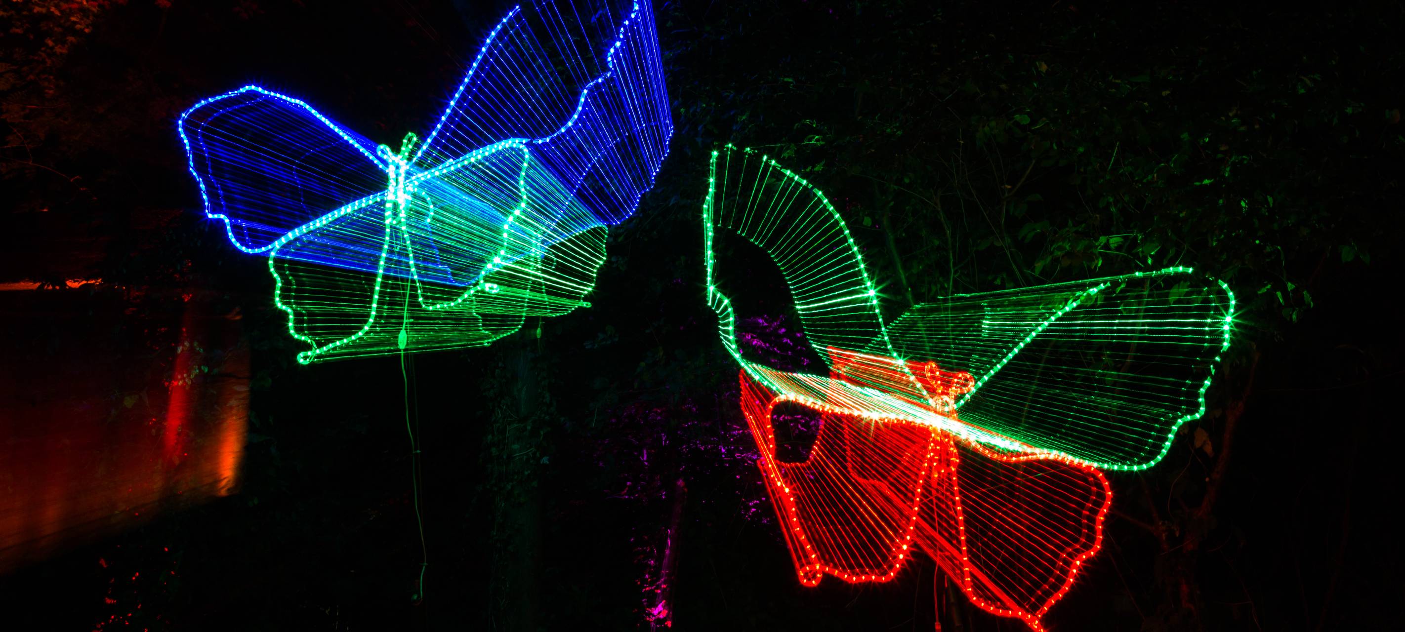 Herbstleuchten sorgt für glänzende Augen