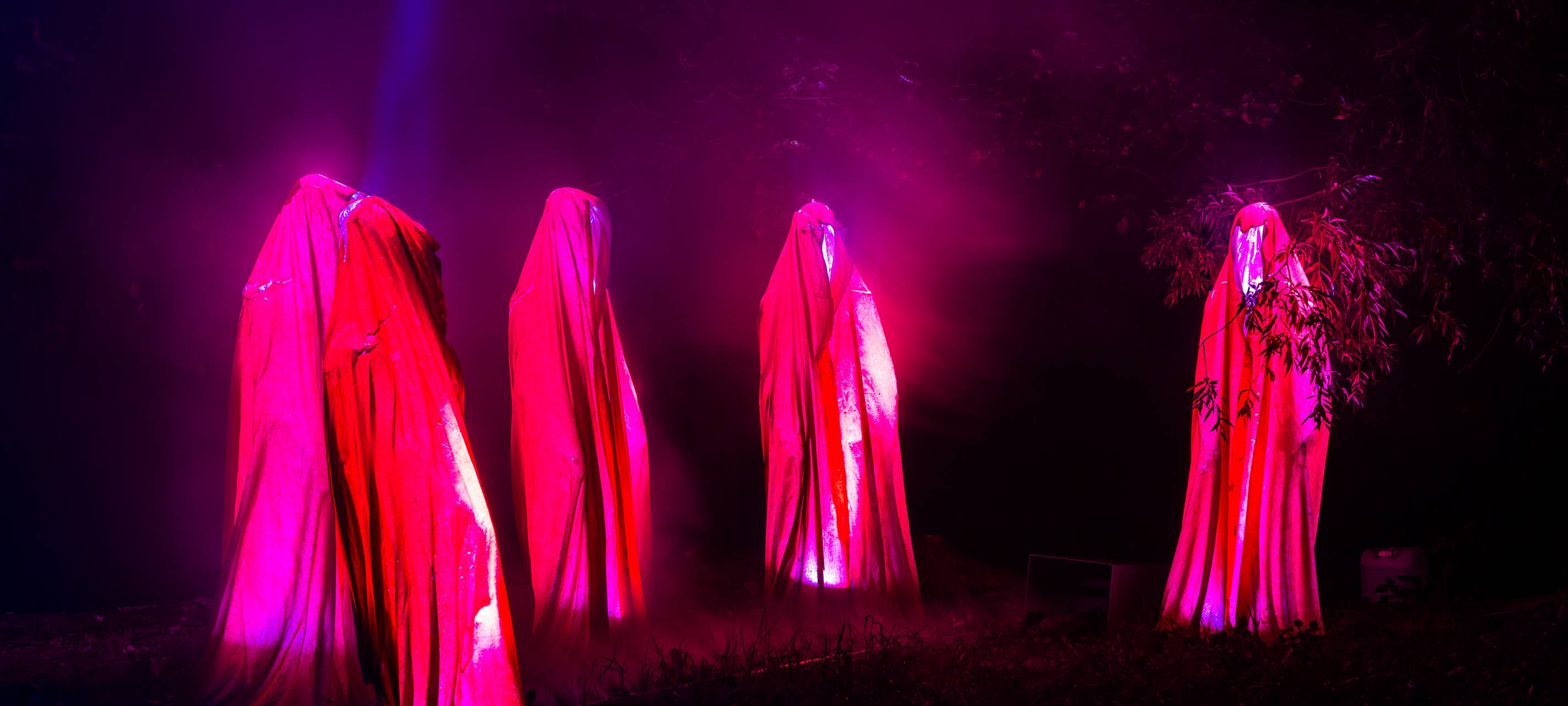 Herbstleuchten sorgt für glänzende Augen