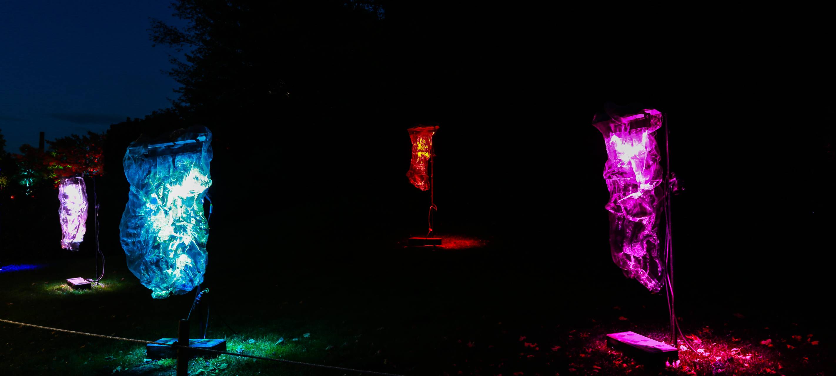 Herbstleuchten sorgt für glänzende Augen