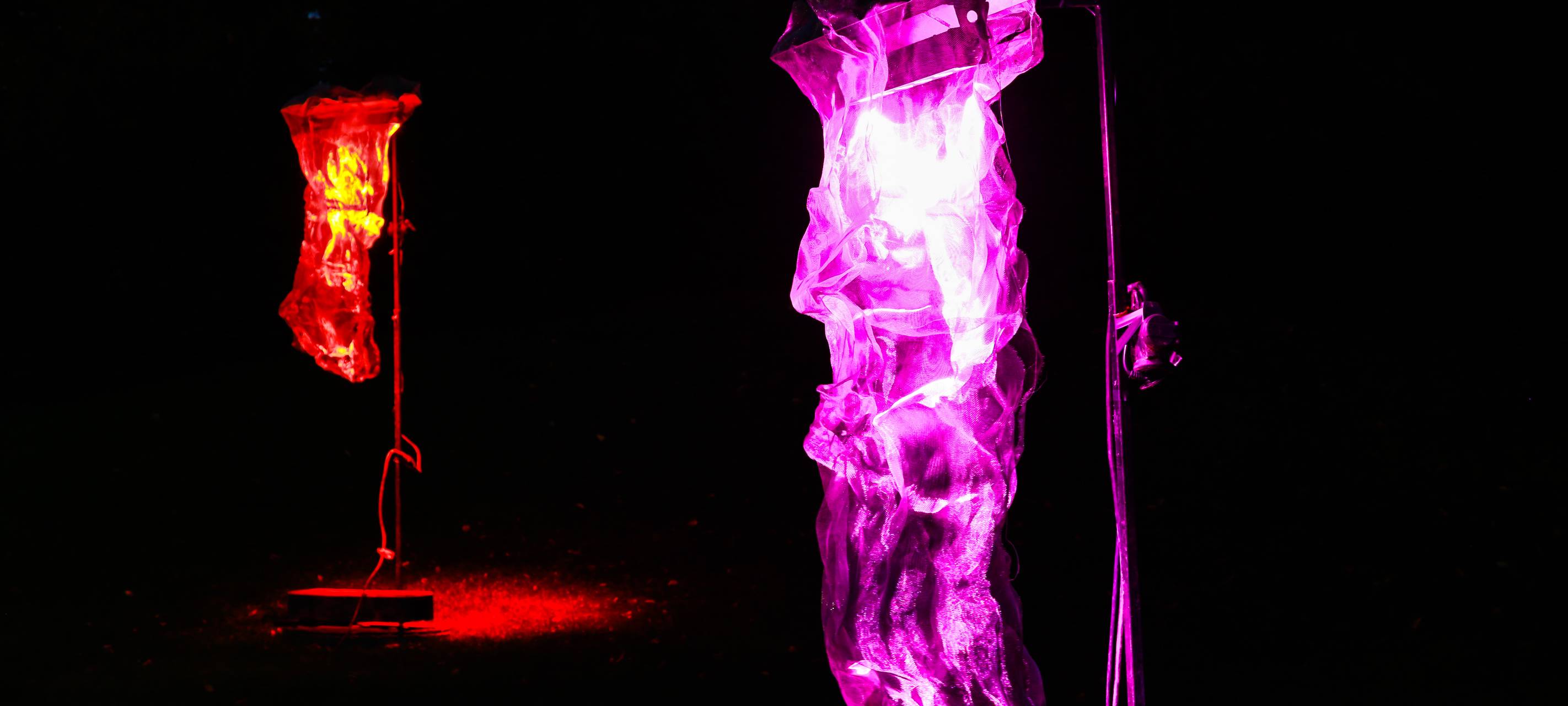 Herbstleuchten sorgt für glänzende Augen