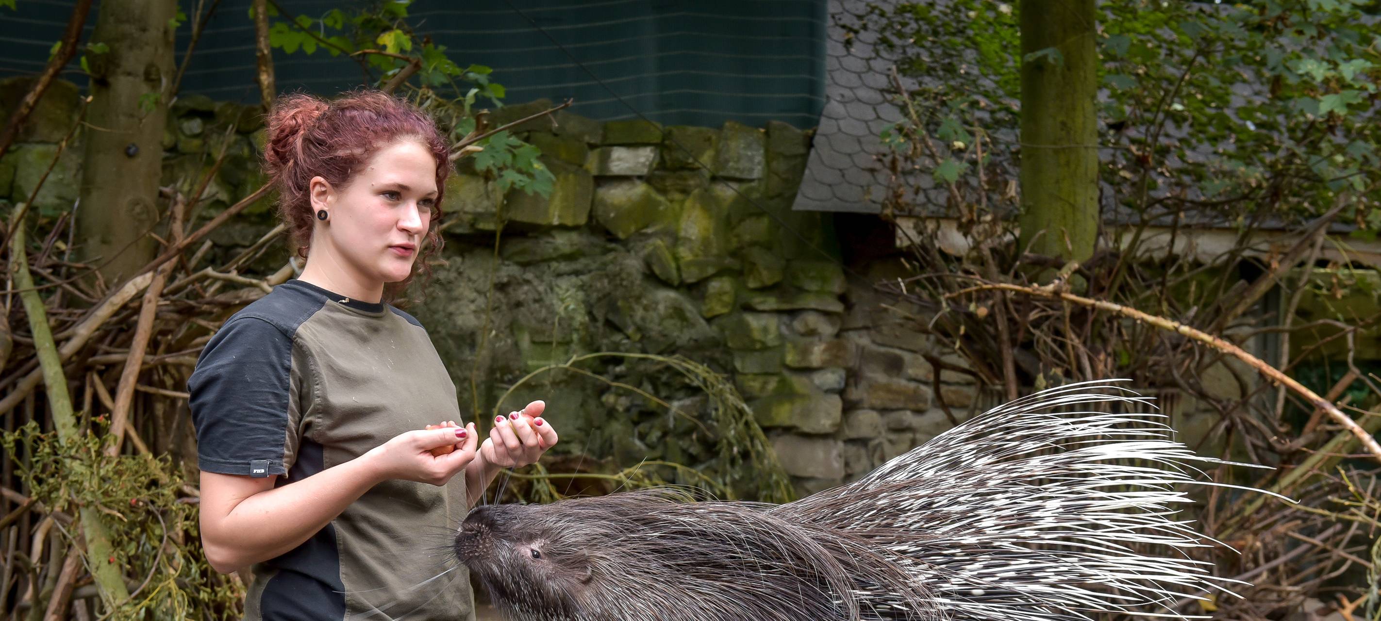 Traumjob Tierpfleger