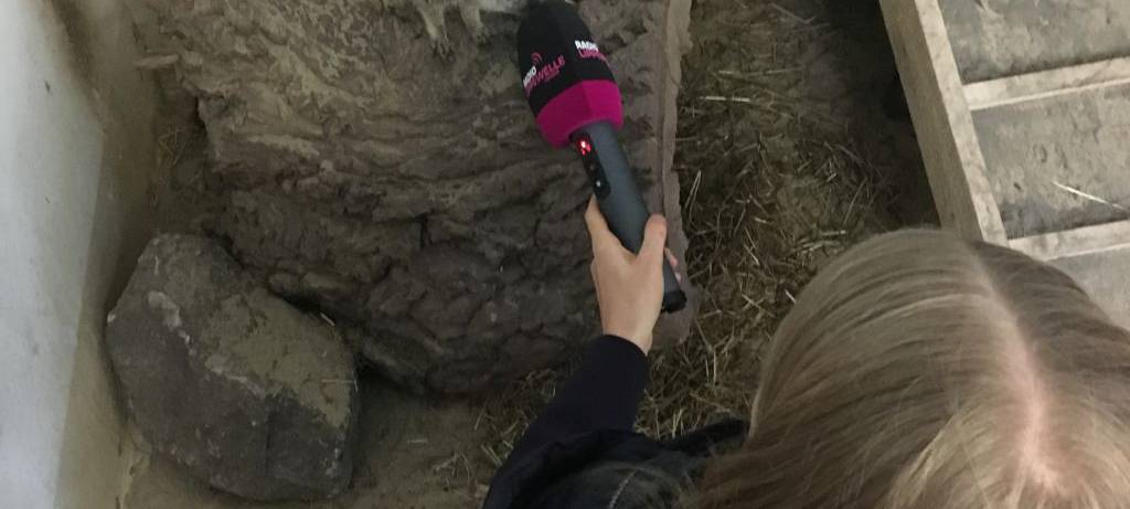 Herbst im Hammer Tierpark