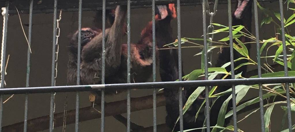 Herbst im Hammer Tierpark