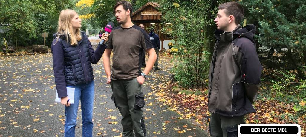 Herbst im Hammer Tierpark