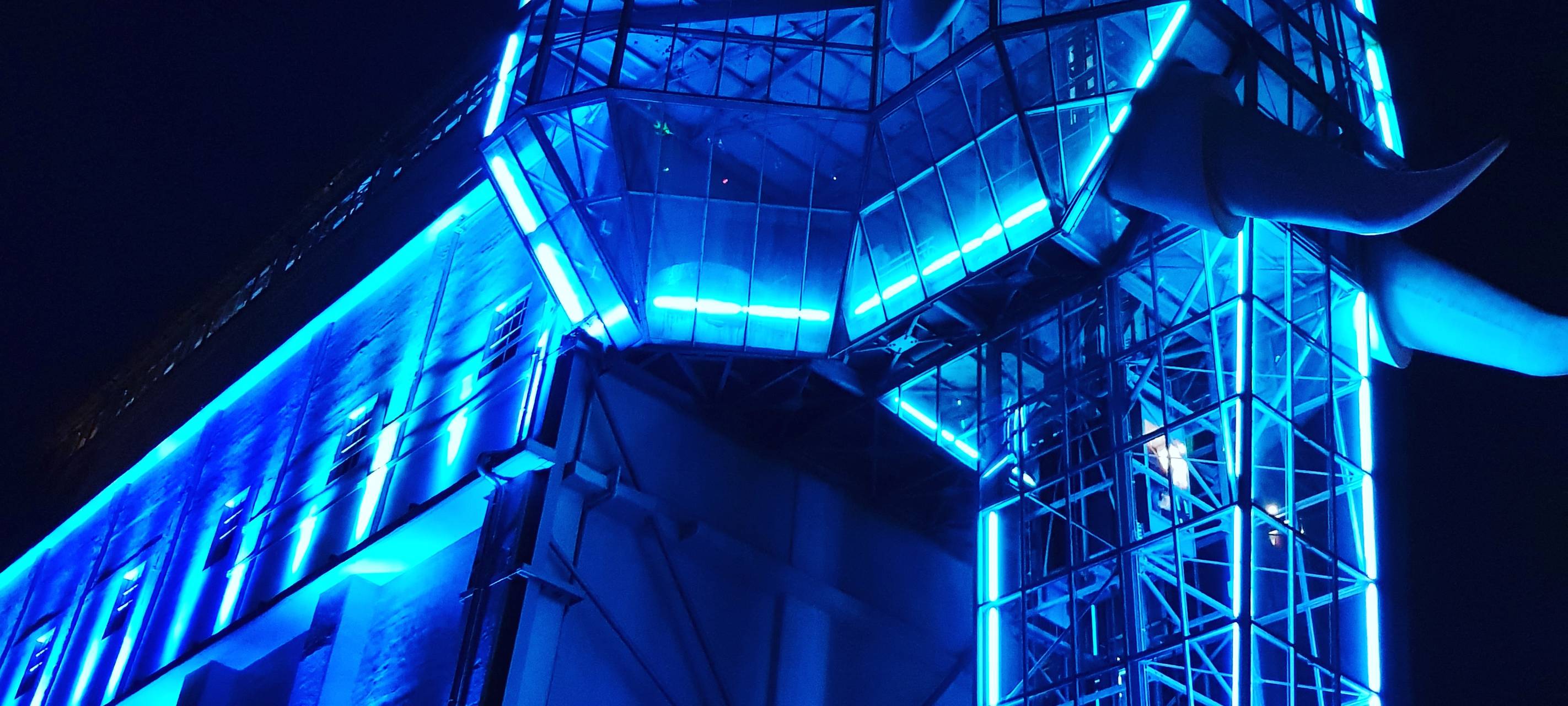 Natalie schießt das Herbstleuchten-Gewinnerfoto