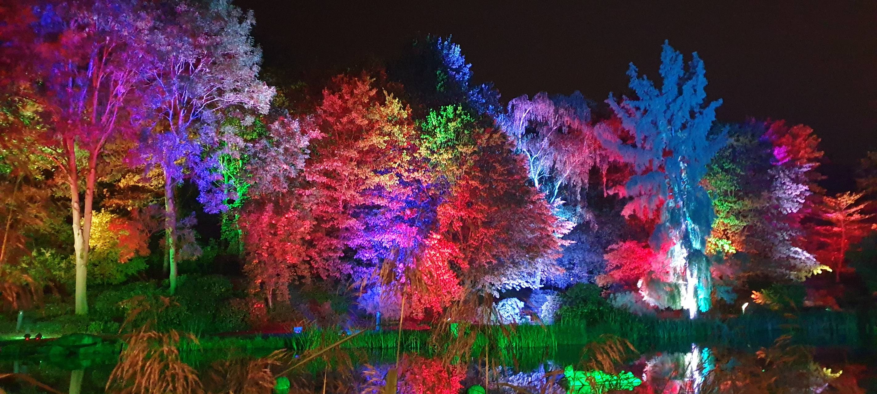 Natalie schießt das Herbstleuchten-Gewinnerfoto