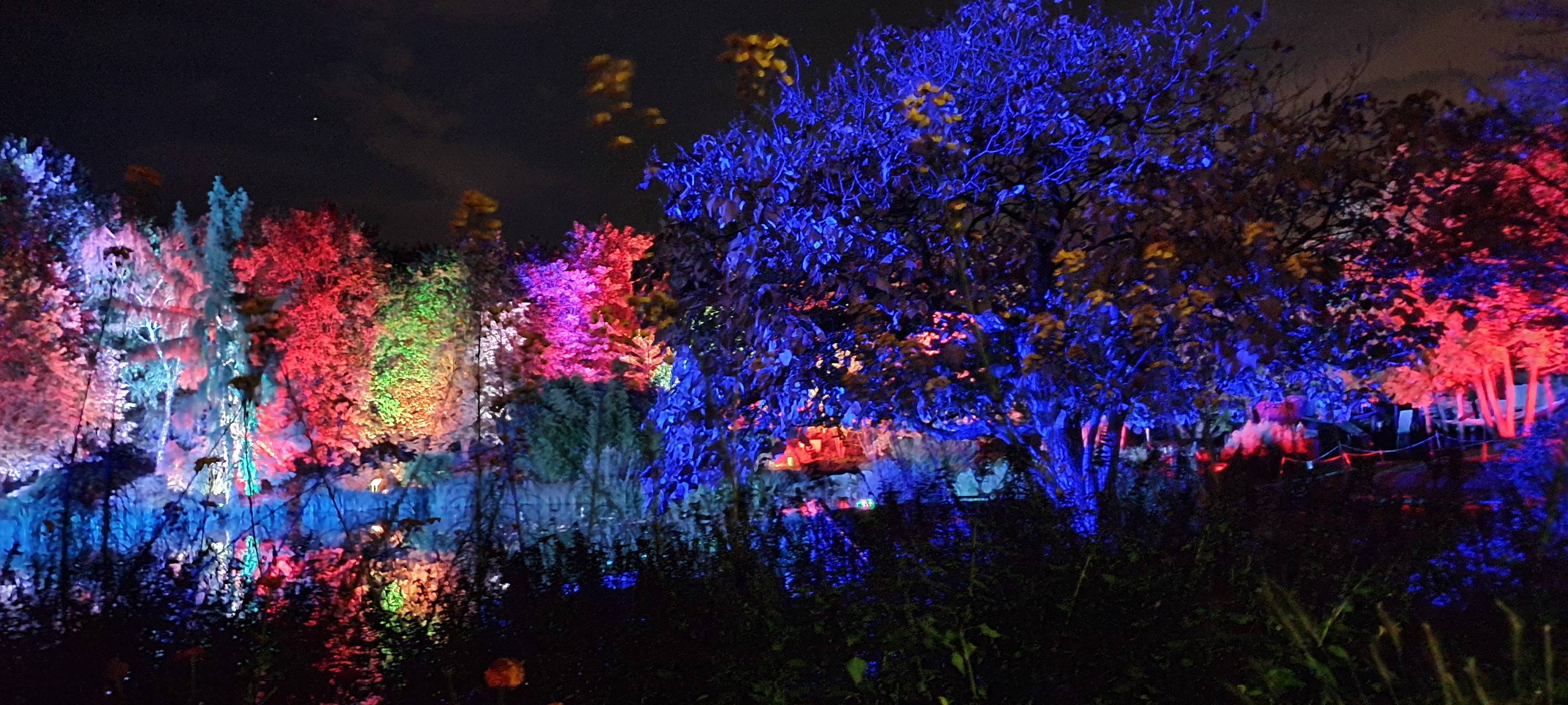 Natalie schießt das Herbstleuchten-Gewinnerfoto