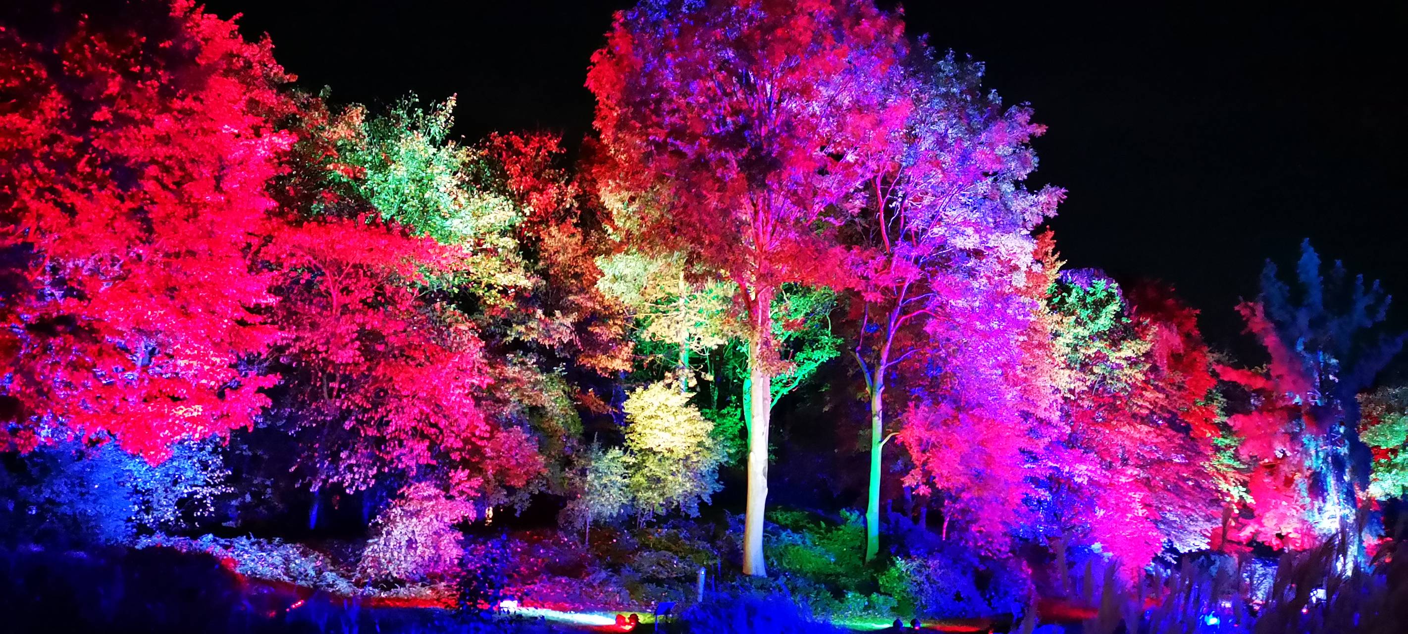 Natalie schießt das Herbstleuchten-Gewinnerfoto