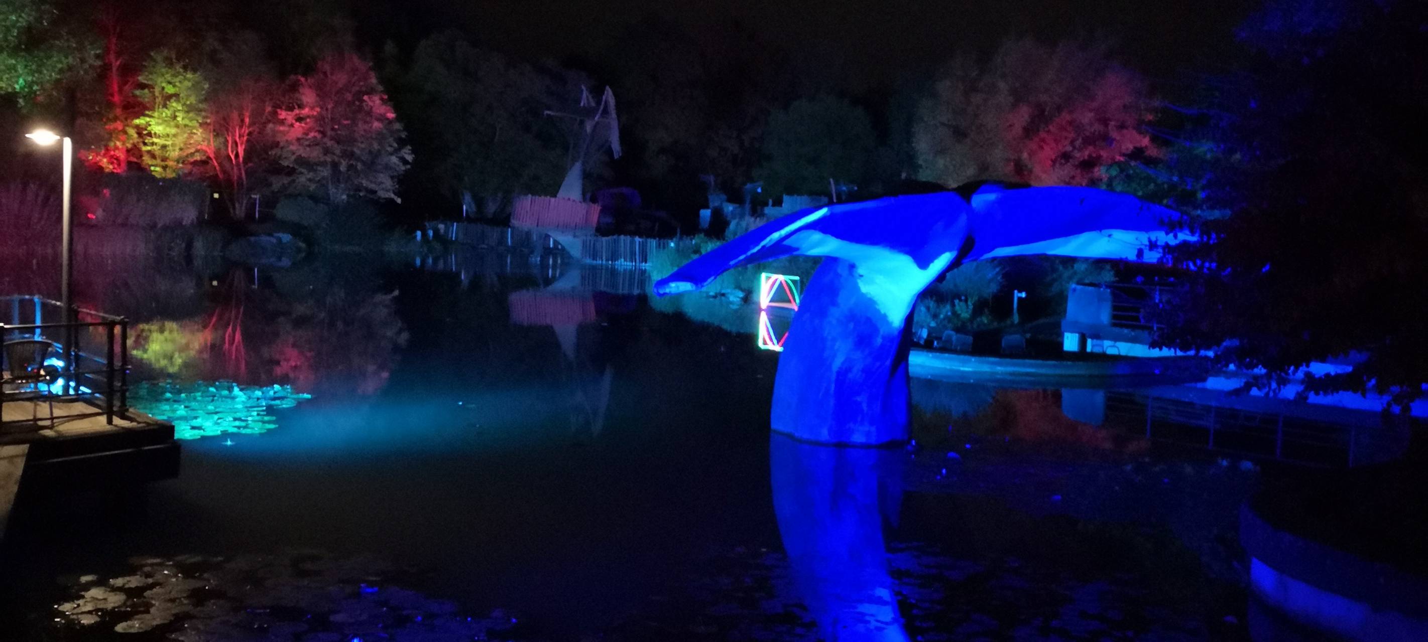 Natalie schießt das Herbstleuchten-Gewinnerfoto