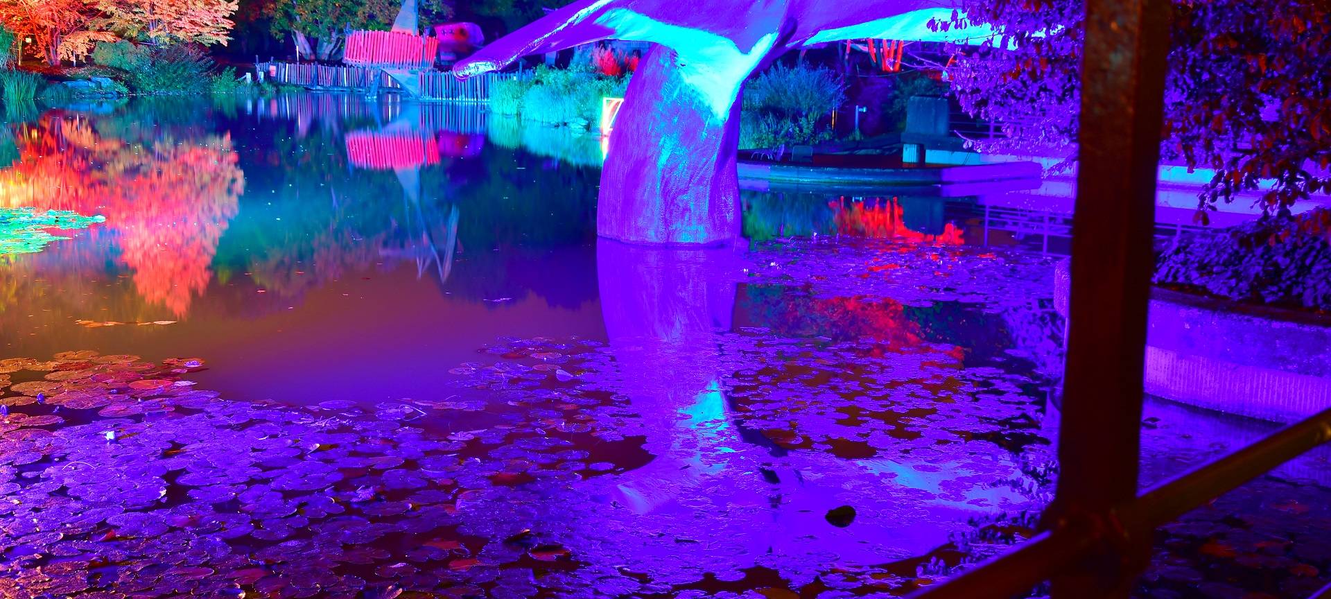 Natalie schießt das Herbstleuchten-Gewinnerfoto