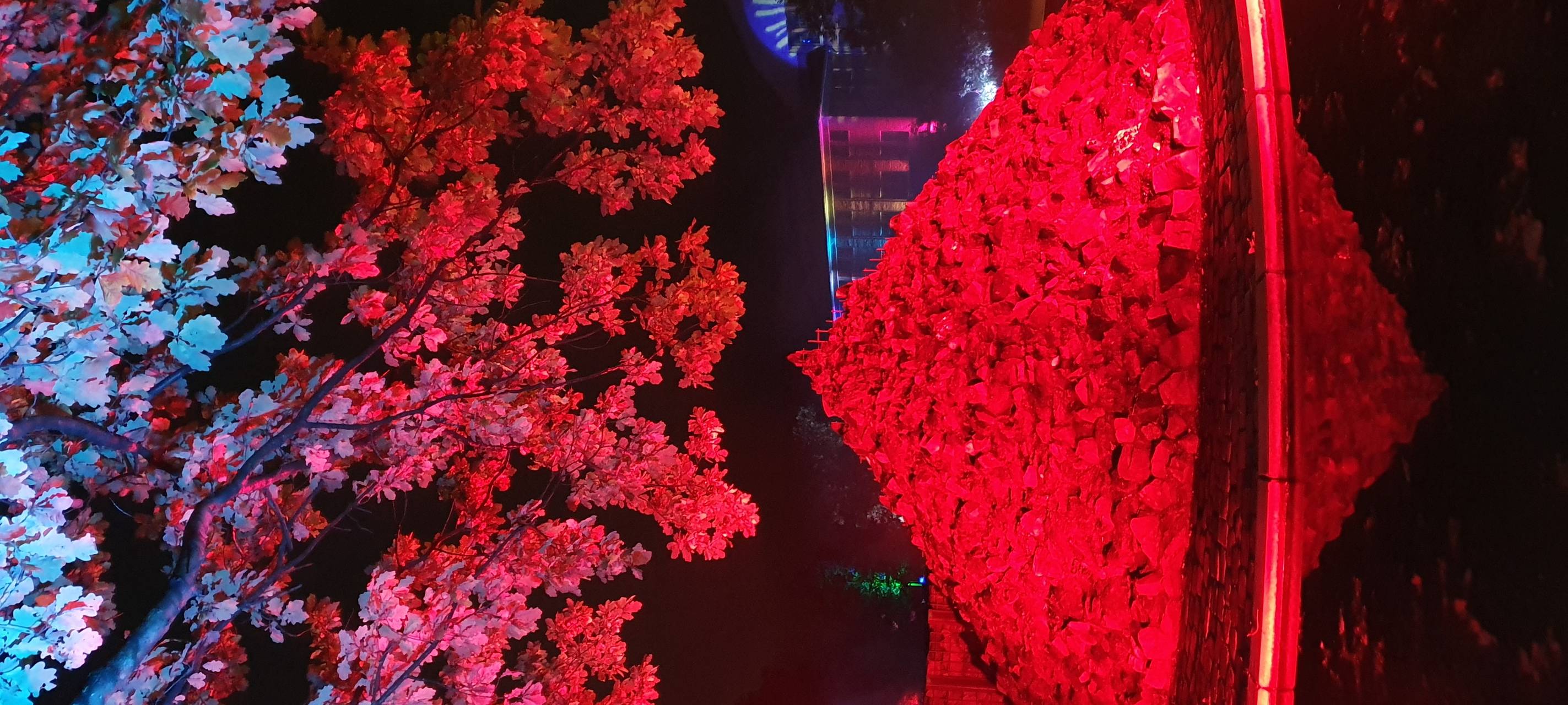 Natalie schießt das Herbstleuchten-Gewinnerfoto