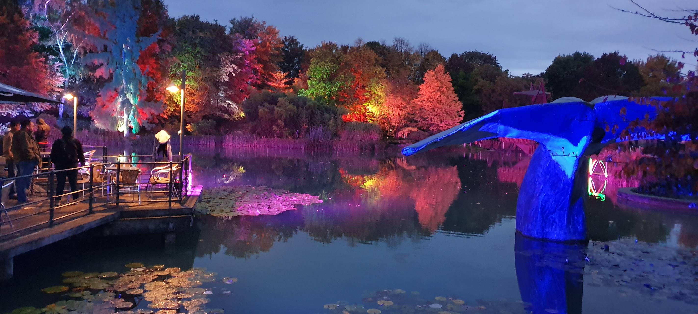 Natalie schießt das Herbstleuchten-Gewinnerfoto