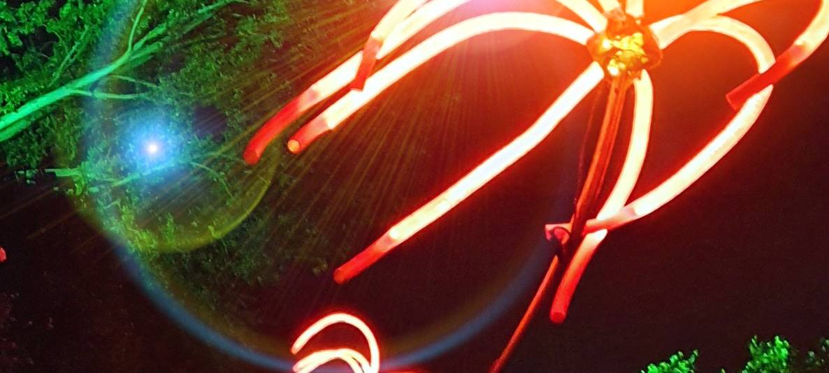 Natalie schießt das Herbstleuchten-Gewinnerfoto