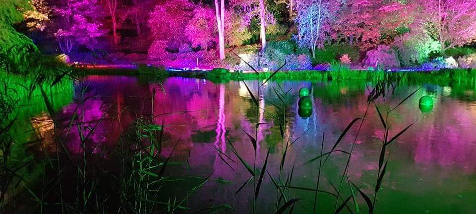Natalie schießt das Herbstleuchten-Gewinnerfoto